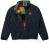 Airblaster Double Puff Snowboard Jacket - Max Rasta Stripe