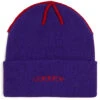 Corduroy Inside Out Beanie - Purple